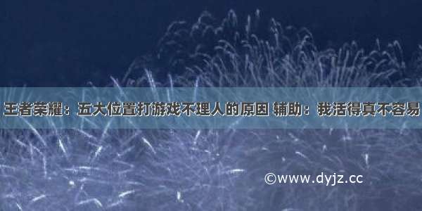 王者荣耀：五大位置打游戏不理人的原因 辅助：我活得真不容易