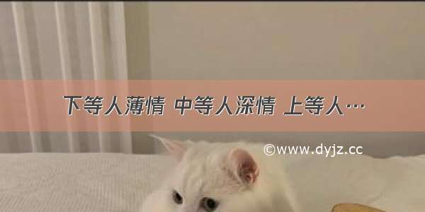 下等人薄情 中等人深情 上等人…