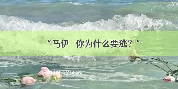 “马伊琍 你为什么要逃？”