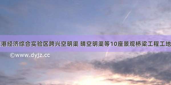 郑州航空港经济综合实验区跨兴空明渠 晴空明渠等10座景观桥梁工程工地服务纪实