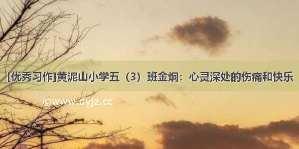 [优秀习作]黄泥山小学五（3）班金炯：心灵深处的伤痛和快乐