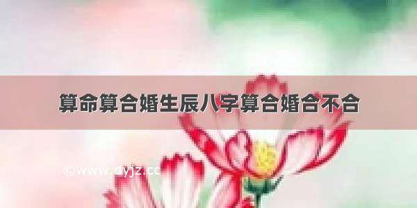 算命算合婚生辰八字算合婚合不合