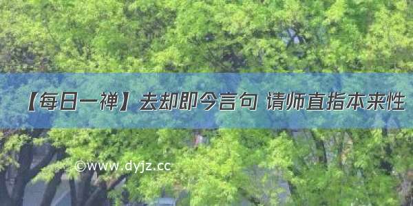 【每日一禅】去却即今言句 请师直指本来性