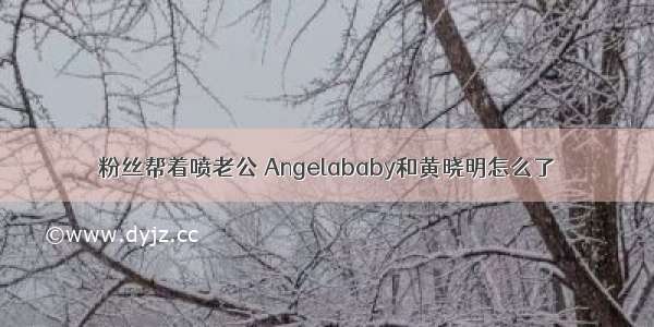 粉丝帮着喷老公 Angelababy和黄晓明怎么了