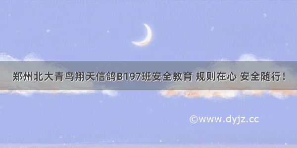 郑州北大青鸟翔天信鸽B197班安全教育 规则在心 安全随行！