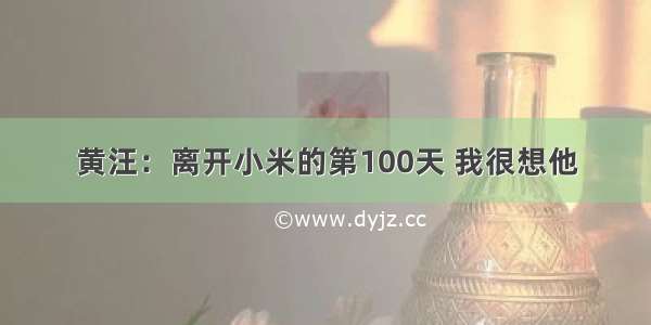 黄汪：离开小米的第100天 我很想他