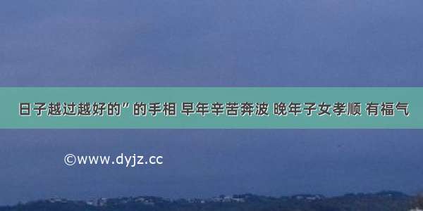 日子越过越好的”的手相 早年辛苦奔波 晚年子女孝顺 有福气