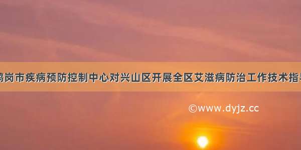 鹤岗市疾病预防控制中心对兴山区开展全区艾滋病防治工作技术指导