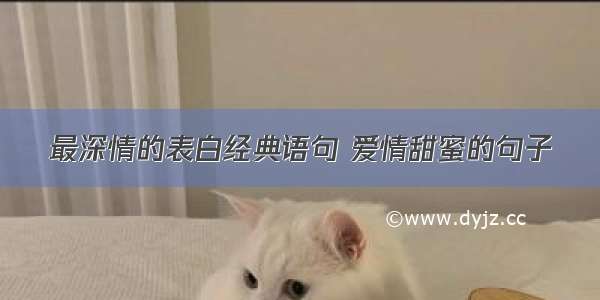 最深情的表白经典语句 爱情甜蜜的句子