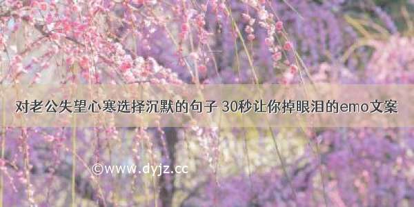 对老公失望心寒选择沉默的句子 30秒让你掉眼泪的emo文案