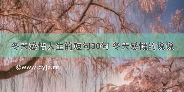 冬天感悟人生的短句30句 冬天感慨的说说