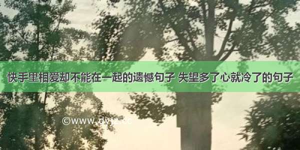 快手里相爱却不能在一起的遗憾句子 失望多了心就冷了的句子