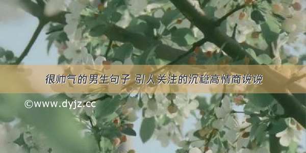 很帅气的男生句子 引人关注的沉稳高情商说说