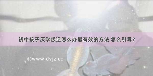 初中孩子厌学叛逆怎么办最有效的方法 怎么引导？