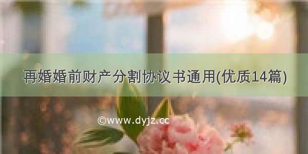 再婚婚前财产分割协议书通用(优质14篇)