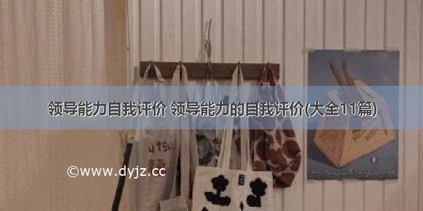 领导能力自我评价 领导能力的自我评价(大全11篇)