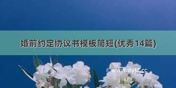 婚前约定协议书模板简短(优秀14篇)