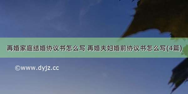 再婚家庭结婚协议书怎么写 再婚夫妇婚前协议书怎么写(4篇)