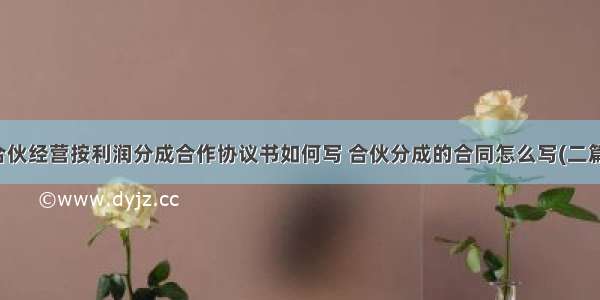 合伙经营按利润分成合作协议书如何写 合伙分成的合同怎么写(二篇)