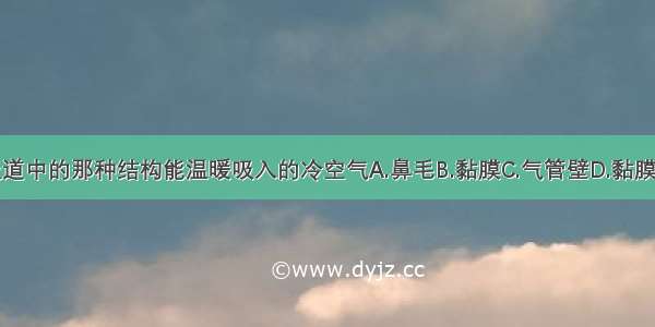 单选题呼吸道中的那种结构能温暖吸入的冷空气A.鼻毛B.黏膜C.气管壁D.黏膜中的毛细血