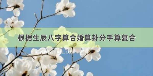 根据生辰八字算合婚算卦分手算复合