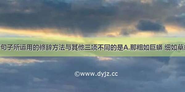 单选题下面句子所运用的修辞方法与其他三项不同的是A.那粗如巨蟒 细如草蛇的树根 盘