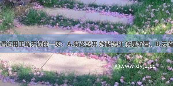 选出下列成语运用正确无误的一项：A.菊花盛开 姹紫嫣红 煞是好看。B.云南一民警酒后