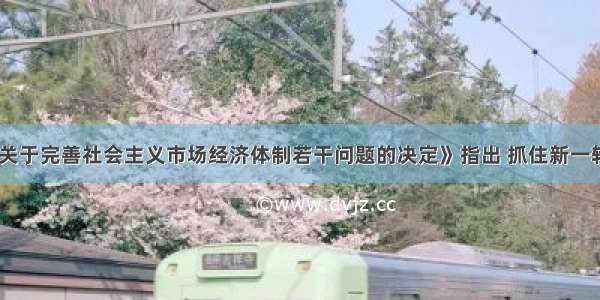 《中共中央关于完善社会主义市场经济体制若干问题的决定》指出 抓住新一轮全球生产要