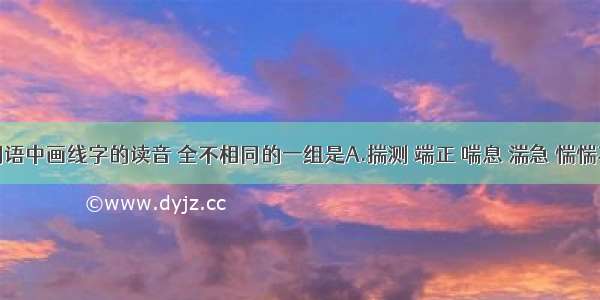 下列各组词语中画线字的读音 全不相同的一组是A.揣测 端正 喘息 湍急 惴惴不安B.纤细