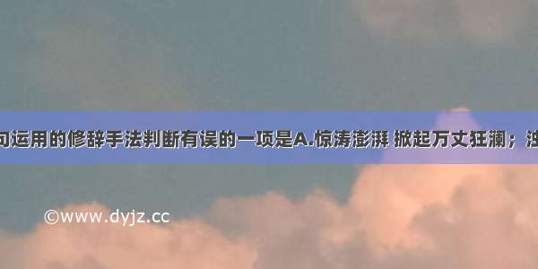 对下列诗句运用的修辞手法判断有误的一项是A.惊涛澎湃 掀起万丈狂澜；浊流宛转 结