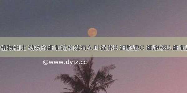 与植物相比 动物的细胞结构没有A.叶绿体B.细胞膜C.细胞核D.细胞质