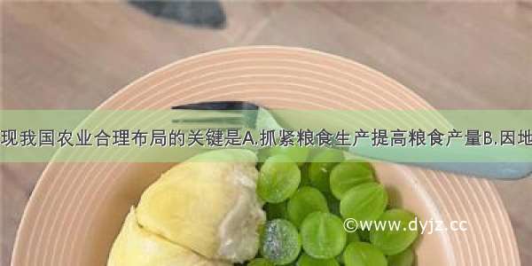 单选题实现我国农业合理布局的关键是A.抓紧粮食生产提高粮食产量B.因地制宜发展