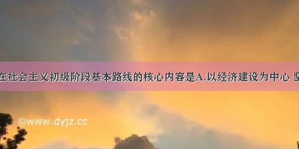 单选题党在社会主义初级阶段基本路线的核心内容是A.以经济建设为中心 坚持四项基