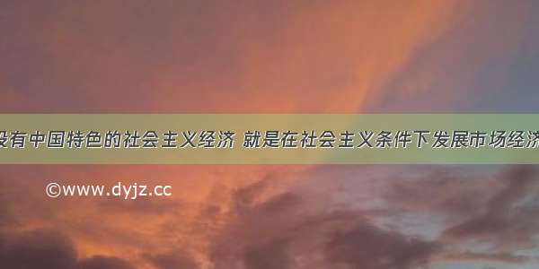 单选题建设有中国特色的社会主义经济 就是在社会主义条件下发展市场经济 不断解放