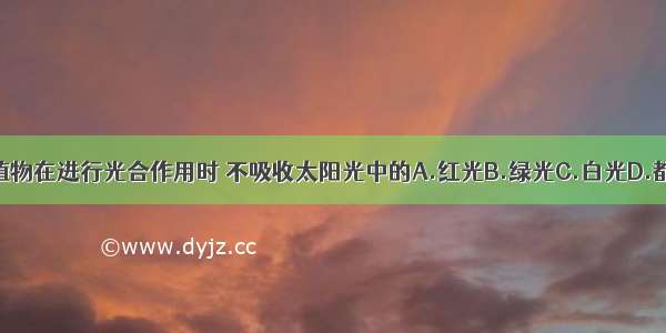 绿色植物在进行光合作用时 不吸收太阳光中的A.红光B.绿光C.白光D.都吸收