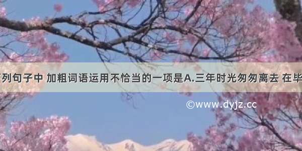 单选题下列句子中 加粗词语运用不恰当的一项是A.三年时光匆匆离去 在毕业晚会上