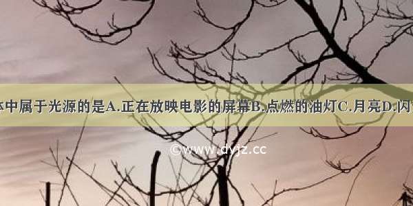 下列物体中属于光源的是A.正在放映电影的屏幕B.点燃的油灯C.月亮D.闪光的钻石