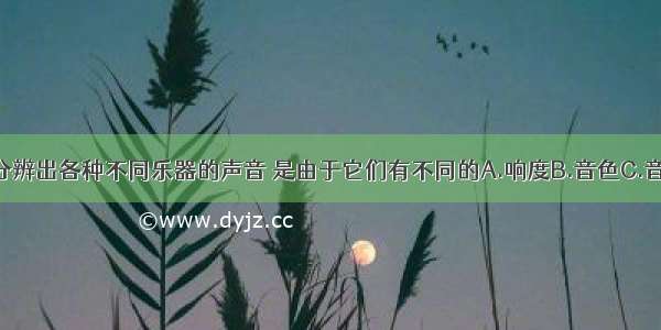 我们能够分辨出各种不同乐器的声音 是由于它们有不同的A.响度B.音色C.音调D.振幅