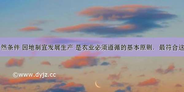 充分利用自然条件 因地制宜发展生产 是农业必须遵循的基本原则．最符合这一原则的是