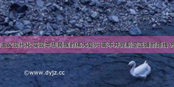 实现社会主义现代化 实现中华民族的伟大复兴 离不开党制定正确的路线 方针 政策。