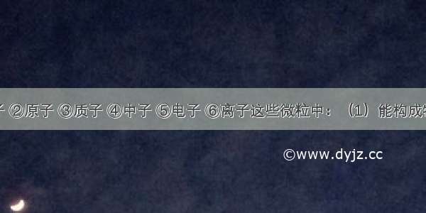 在①分子 ②原子 ③质子 ④中子 ⑤电子 ⑥离子这些微粒中：（1）能构成物质的微