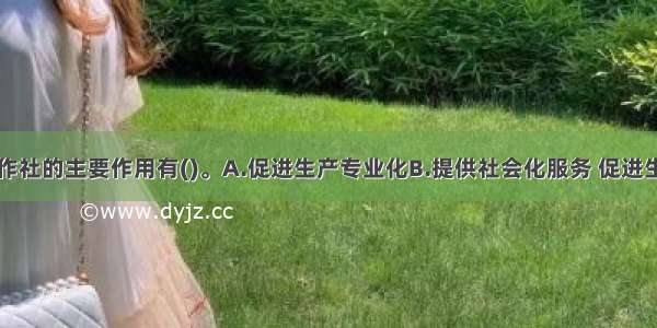 农民专业合作社的主要作用有()。A.促进生产专业化B.提供社会化服务 促进生产社会化C.