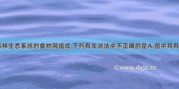 下图为某森林生态系统的食物网组成 下列有关说法中不正确的是A.图中共有3条食物链 