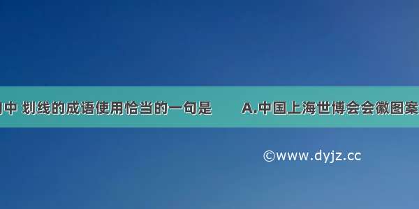 下列各句中 划线的成语使用恰当的一句是　　A.中国上海世博会会徽图案形似汉字