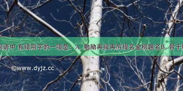 下列各组词语中 有错别字的一项是：A. 勉励再接再厉提名金榜题名B. 骨干股肱之臣告