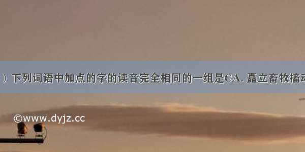 （大余中学）下列词语中加点的字的读音完全相同的一组是CA. 矗立畜牧搐动怵目惊心相