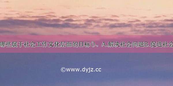 下列选项中 哪些属于社会工作文化层面的目标()。A.解决社会问题B.促进社会公正C.弘扬