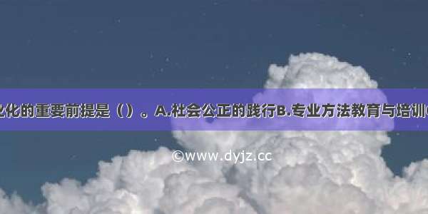 社会工作专业化的重要前提是（）。A.社会公正的践行B.专业方法教育与培训C.专业价值观