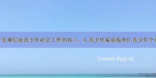 下列各项属于宏观层面青少年社会工作的有()。A.青少年家庭服务B.青少年个案辅导C.青少