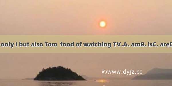 Not only I but also Tom  fond of watching TV.A. amB. isC. areD. be